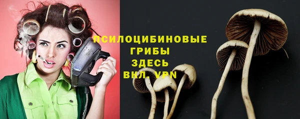 гашиш Аркадак
