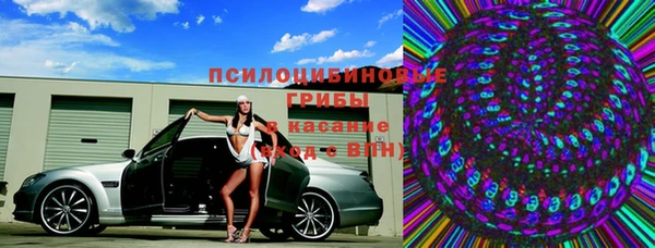 мяу мяу мука Арсеньев