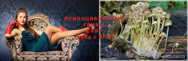 мяу мяу мука Арсеньев